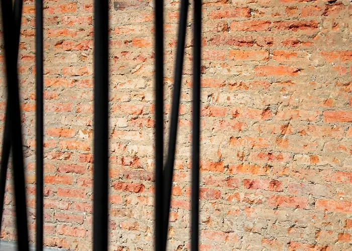 Thrive The : Patpong By The Belle